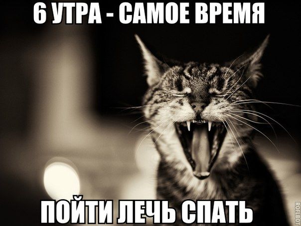 Порция картинок