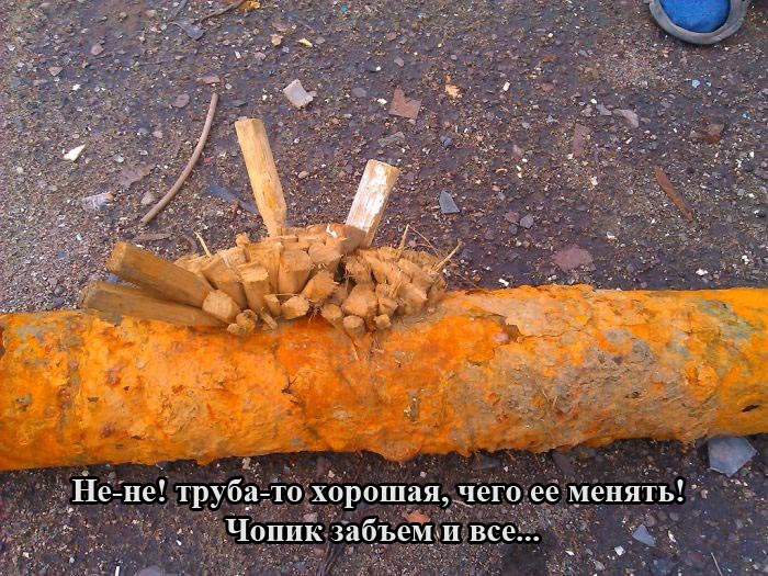 Порция картинок