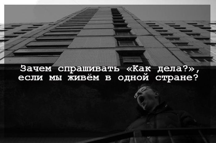 Порция картинок