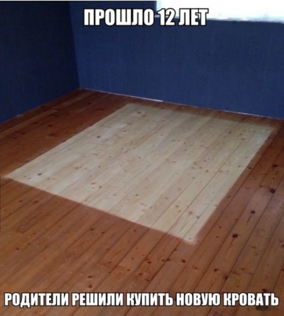 Порция картинок