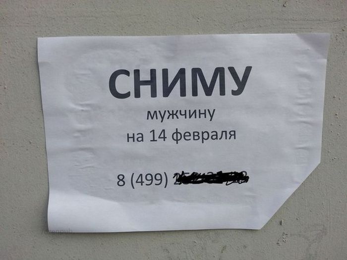 Порция картинок