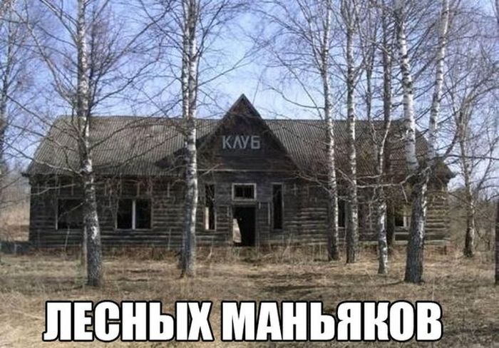 Порция картинок