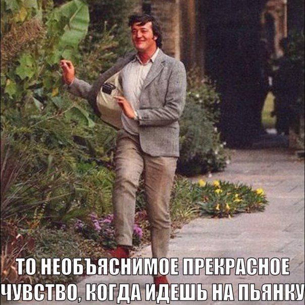 Порция картинок