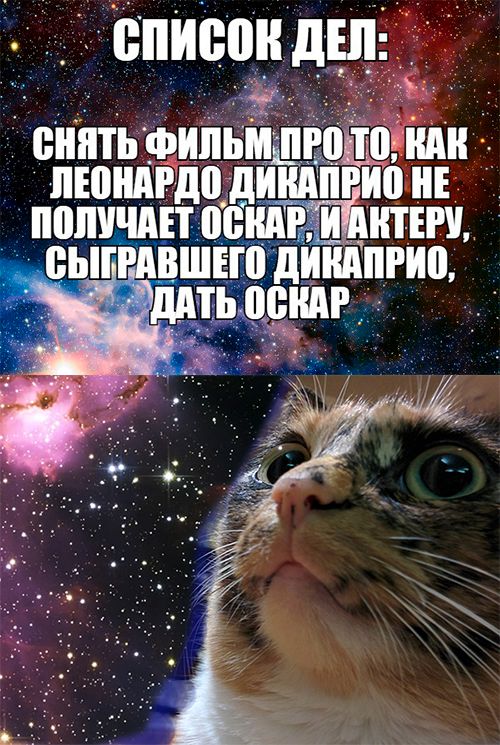 Порция картинок