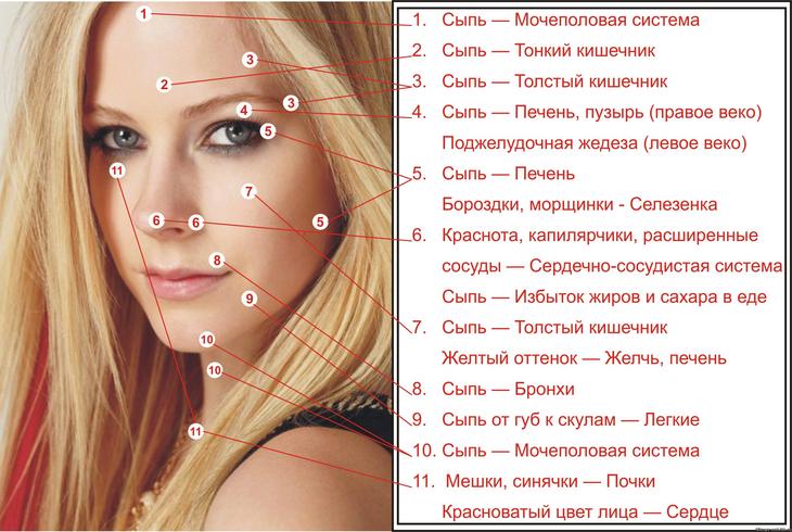 Карта прыщей на лице: что они означают? Расположение прыщей на лице и болезни Карта прыщей на лице: что они означают? Расположение прыщей на лице и болезни