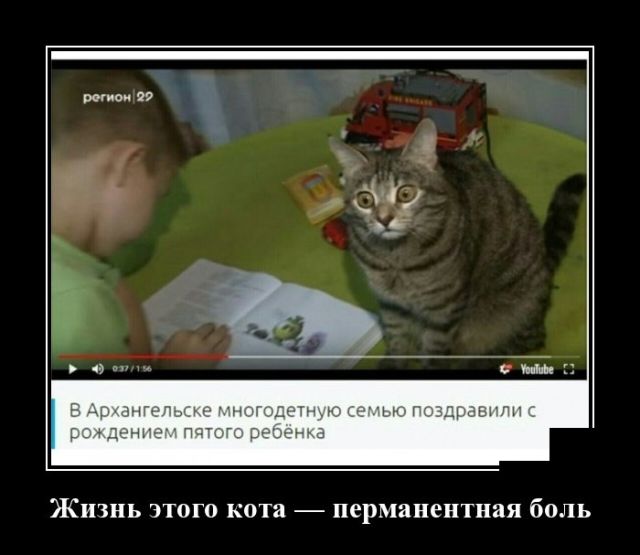 Демотиваторы