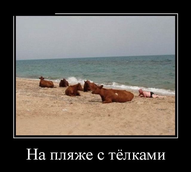 Демотиваторы