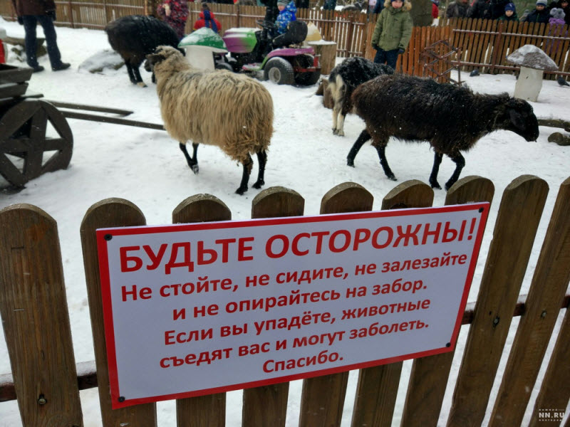 Удивительные снимки с российских просторов
