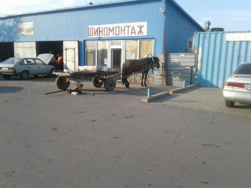 Удивительные снимки с российских просторов
