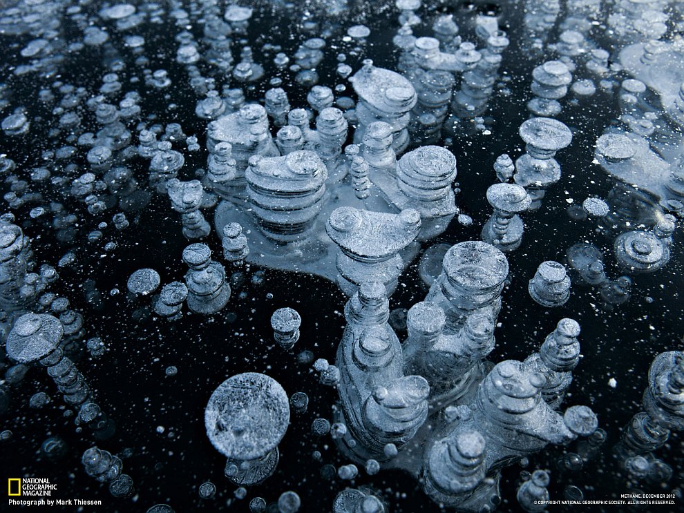 National Geographic: лучшие фотографии марта National Geographic: лучшие фотографии марта
