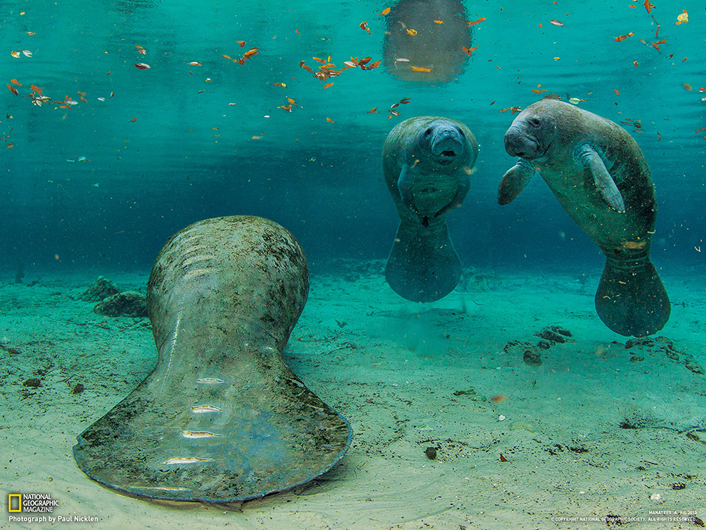 National Geographic: лучшие фотографии марта National Geographic: лучшие фотографии марта