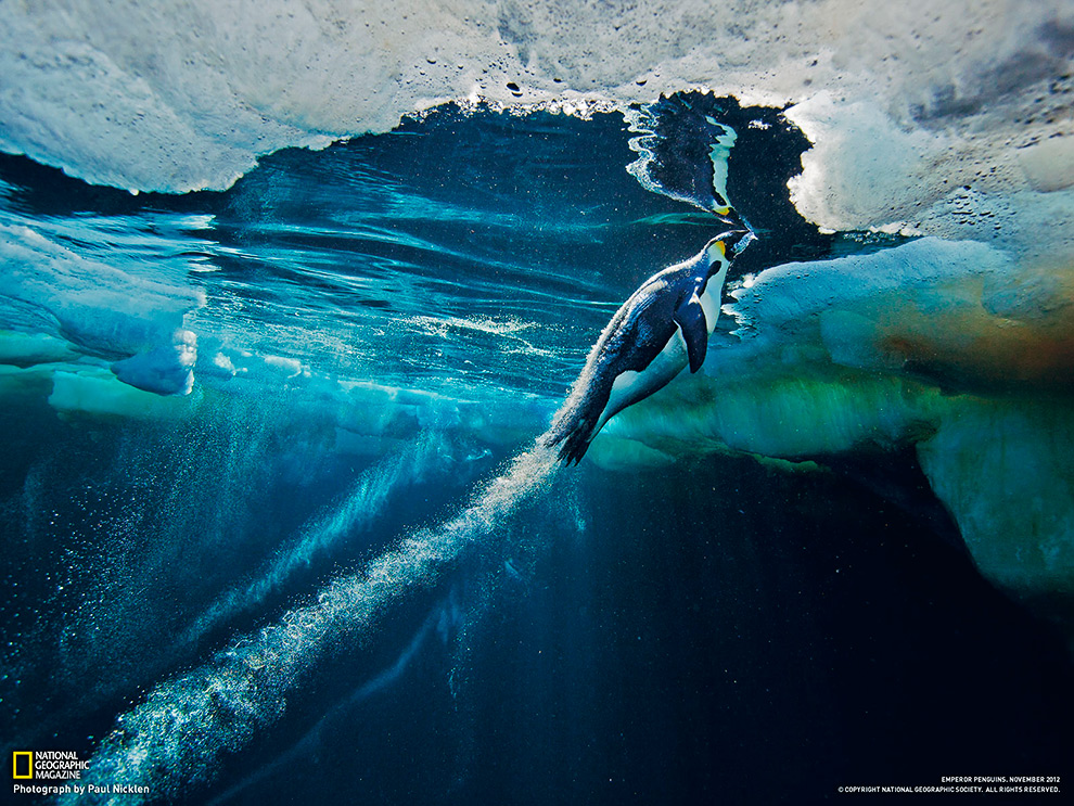 National Geographic: лучшие фотографии марта National Geographic: лучшие фотографии марта