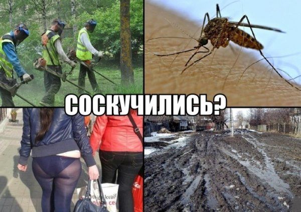 Прикольные картинки (123 фото)