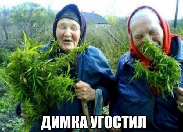 Прикольные картинки (123 фото)