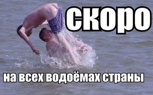 Прикольные картинки (123 фото)