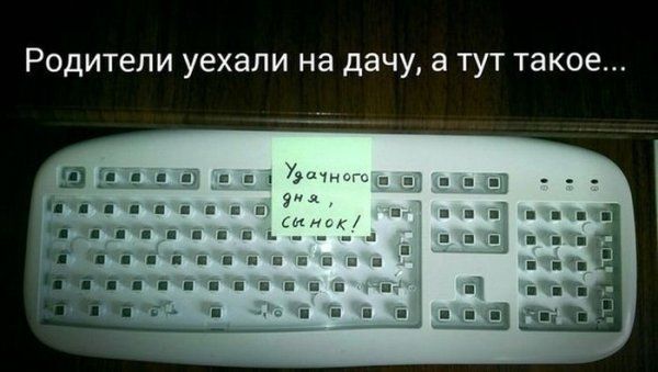 Прикольные картинки (123 фото)