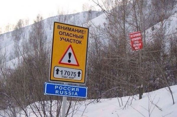 Прикольные картинки (123 фото)