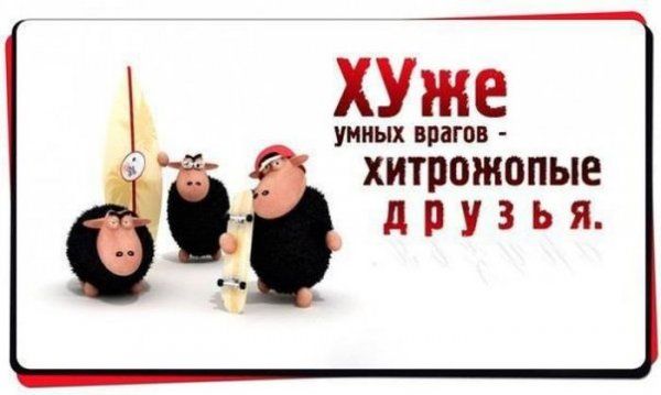 Прикольные картинки (123 фото)