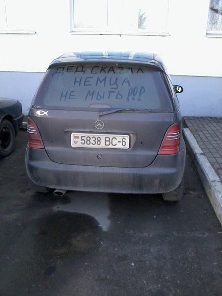 Прикольные картинки (123 фото)
