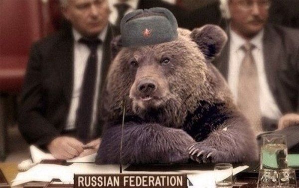 Прикольные картинки (123 фото)
