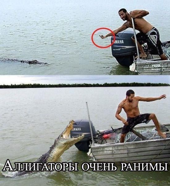 Прикольные картинки (123 фото)