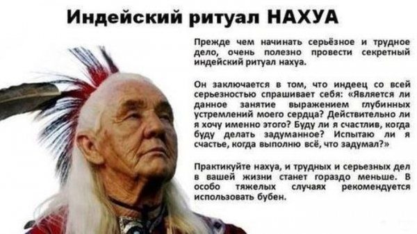 Прикольные картинки (123 фото)