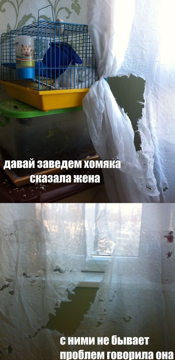 Прикольные картинки (123 фото)