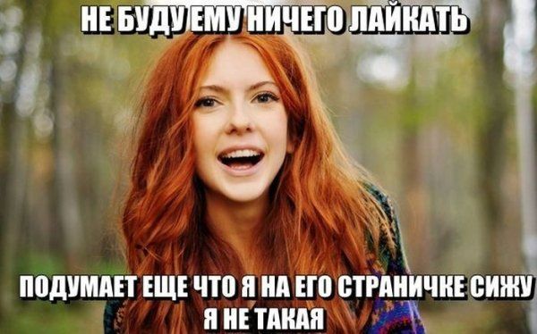 Прикольные картинки (123 фото)