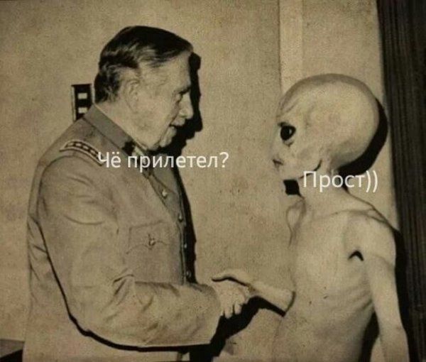 Прикольные картинки (123 фото)