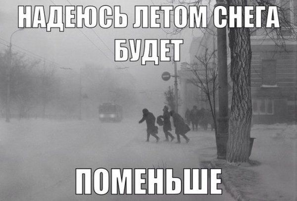 Прикольные картинки (123 фото)