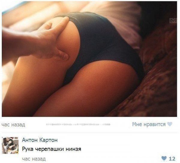 Прикольные картинки (123 фото)