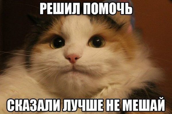 Прикольные картинки (123 фото)
