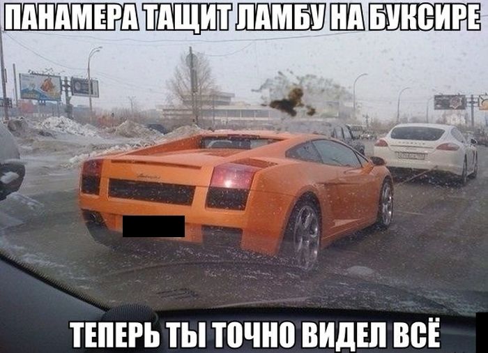 Прикольные картинки (123 фото)