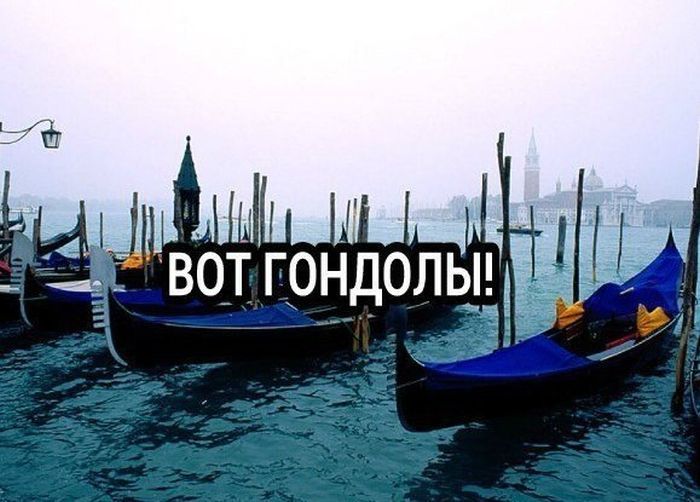 Прикольные картинки (123 фото)