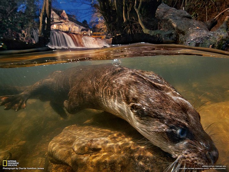 National Geographic: лучшие фотографии апреля National Geographic: лучшие фотографии апреля