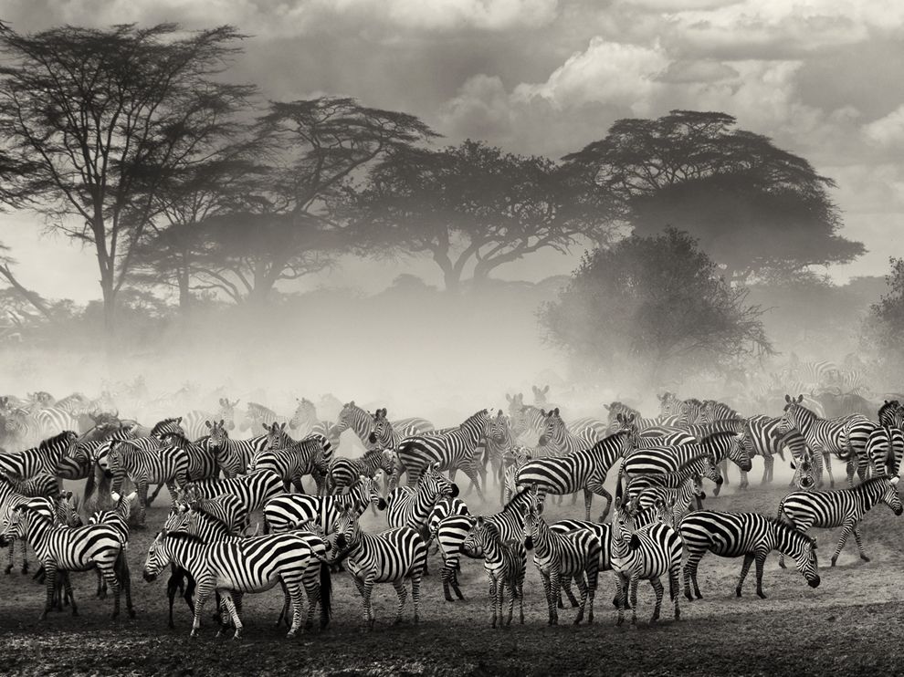 National Geographic: лучшие фотографии апреля National Geographic: лучшие фотографии апреля