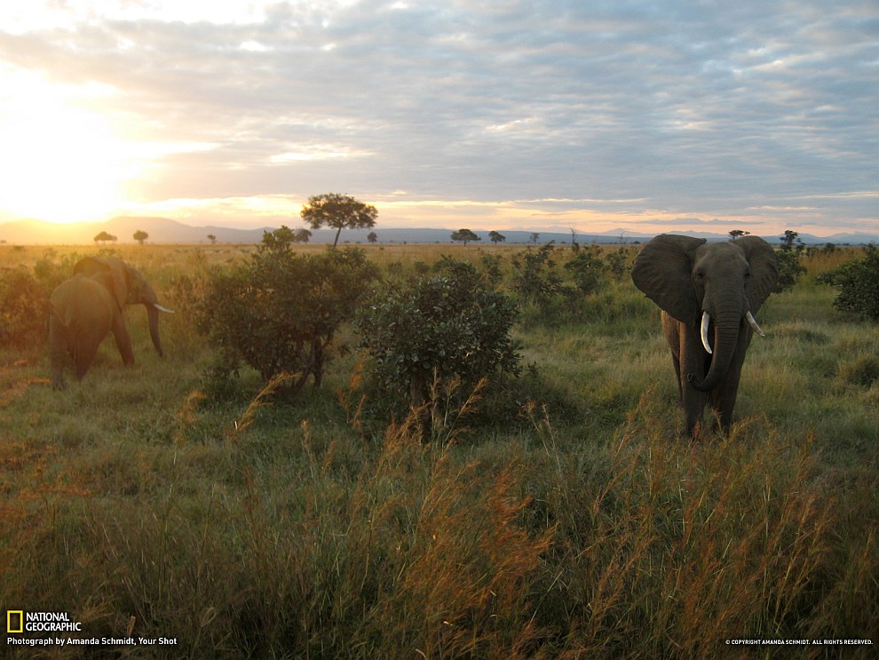 National Geographic: лучшие фотографии апреля National Geographic: лучшие фотографии апреля