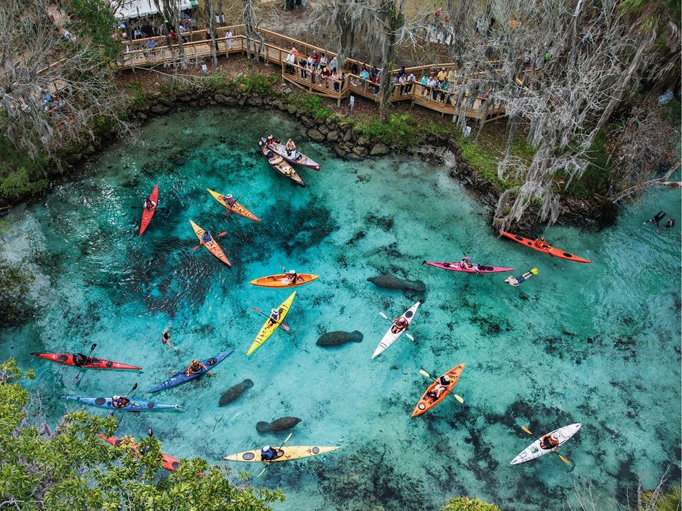National Geographic: лучшие фотографии апреля National Geographic: лучшие фотографии апреля