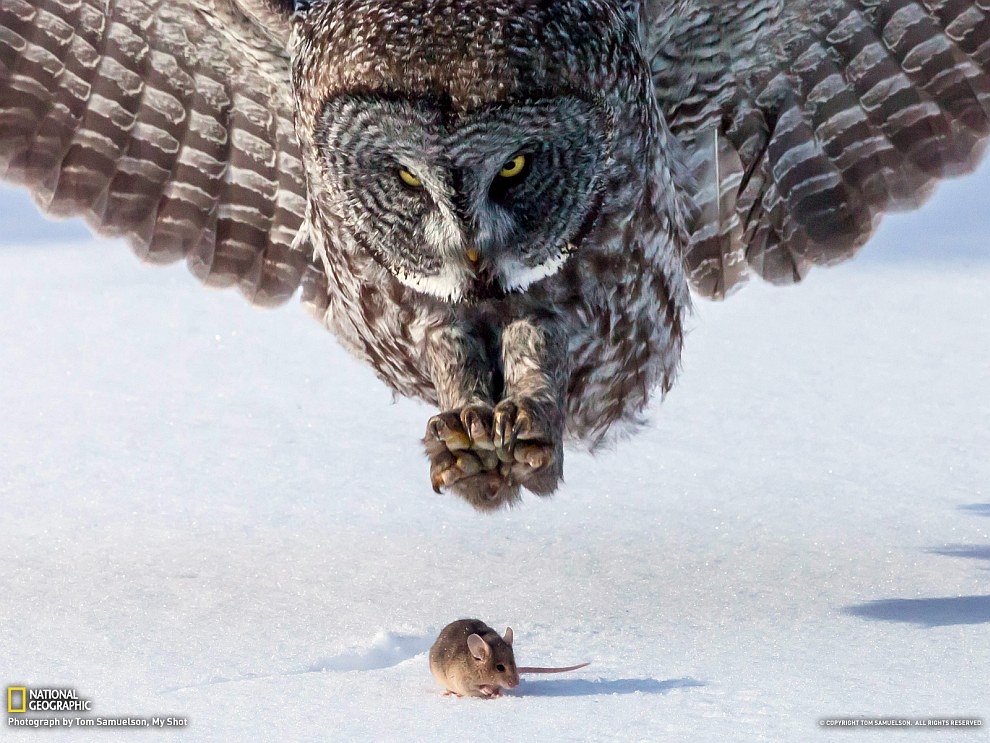 National Geographic: лучшие фотографии апреля National Geographic: лучшие фотографии апреля