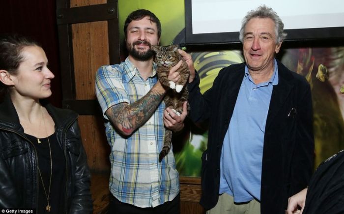 Lil Bub самый симпатичный кот в мире