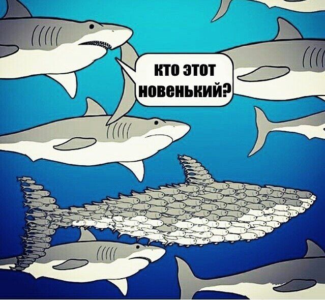 Смешные комиксы