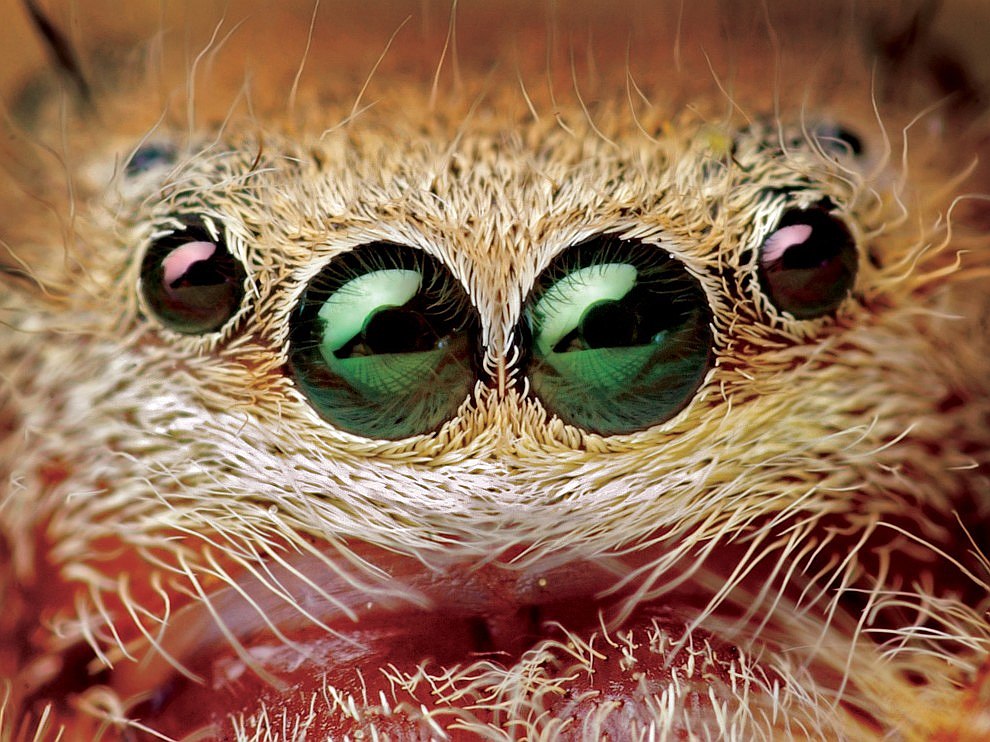 National Geographic: лучшие фотографии мая National Geographic: лучшие фотографии мая