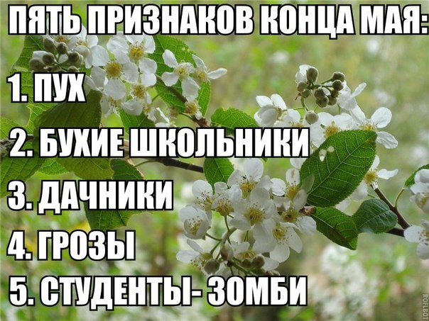 Прикольные картинки (117 фото)