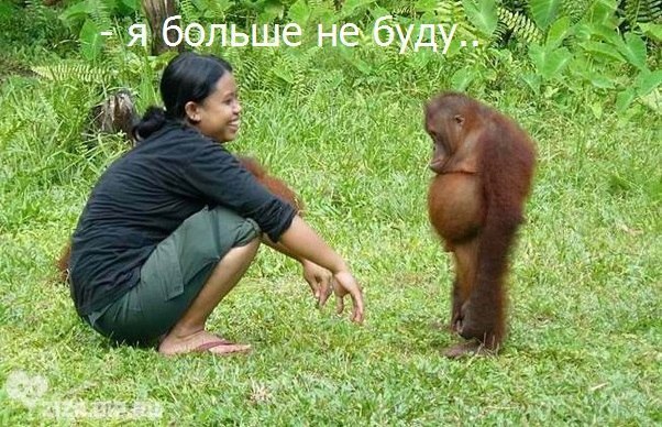 Прикольные картинки (117 фото)