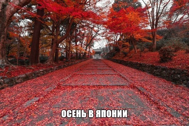 Прикольные картинки (117 фото)