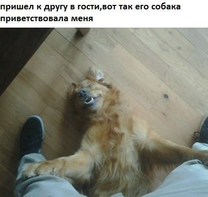 Прикольные картинки (117 фото)