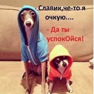 Прикольные картинки (117 фото)