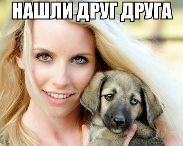 Прикольные картинки (117 фото)