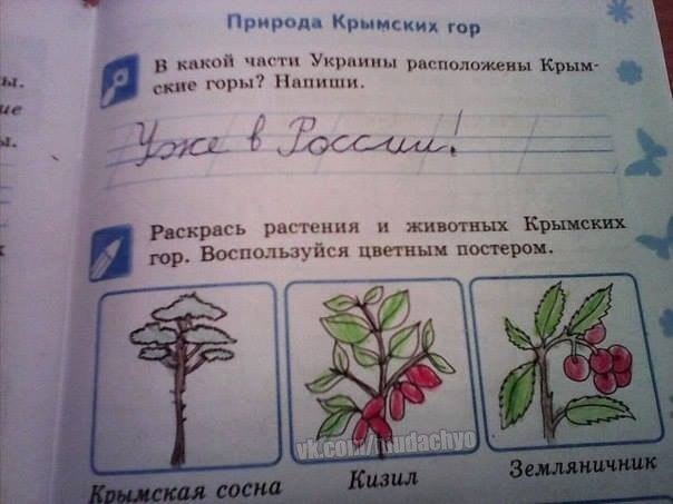 Прикольные картинки (117 фото)