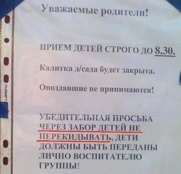 Порция картинок